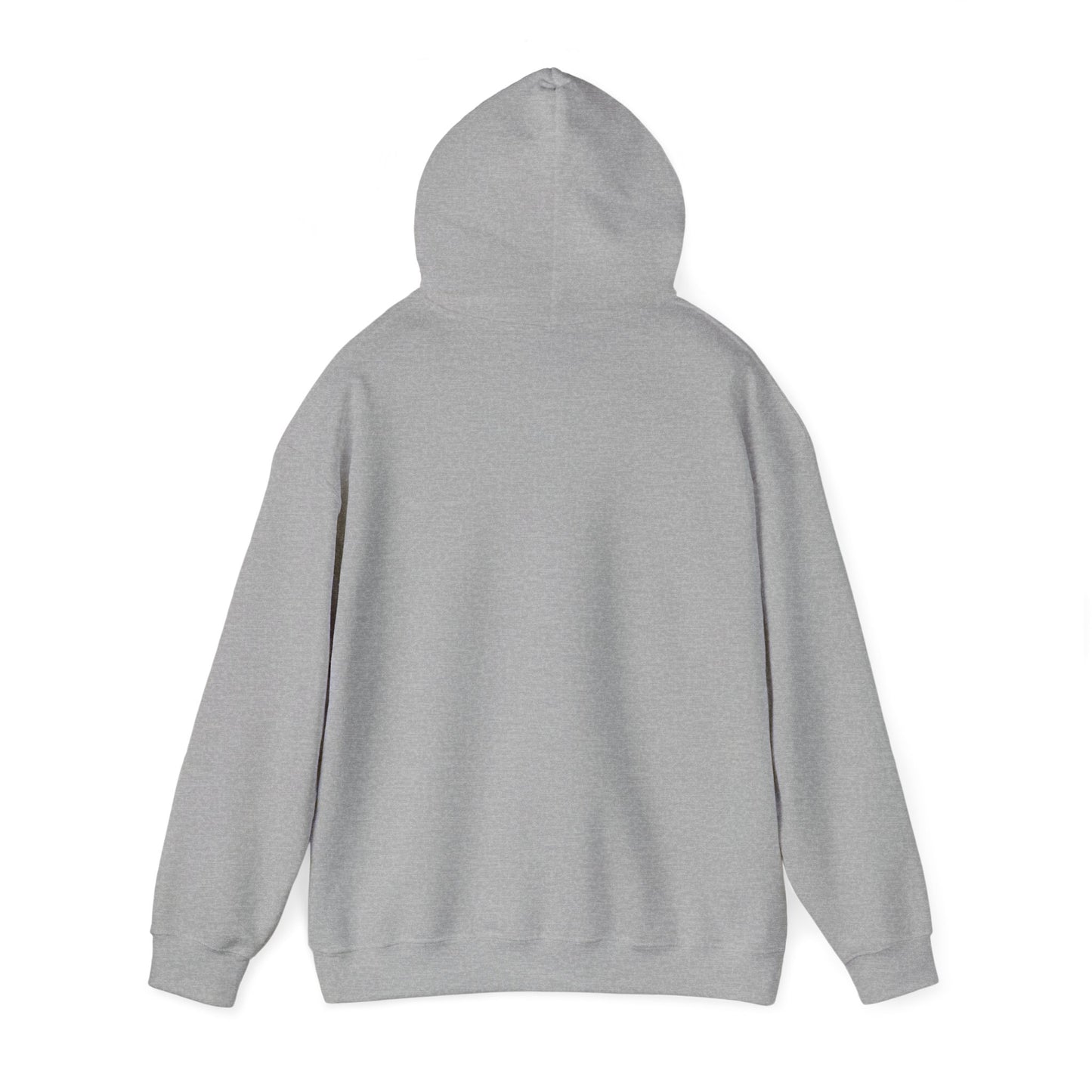 Unisex Hooded Sweatshirt "Class of 2024"